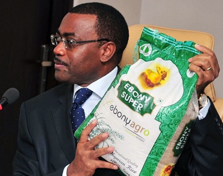 Akinwumi Adesina5
