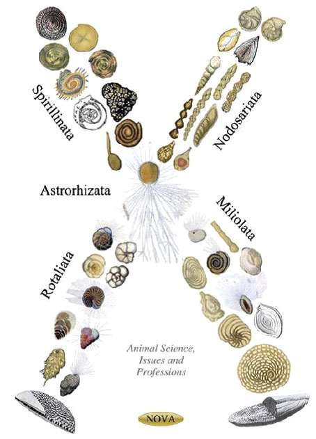 System Evolution